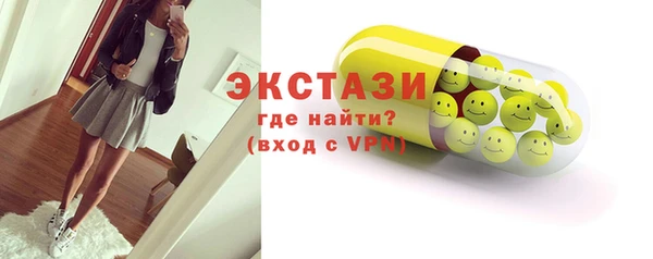 индика Туринск