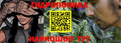 индика Нягань