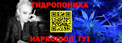 индика Нягань
