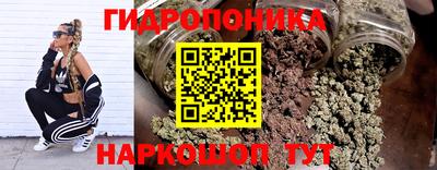 индика Нягань