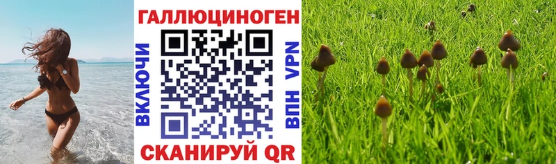 мориарти формула  Снежинск  Псилоцибиновые грибы прущие грибы 