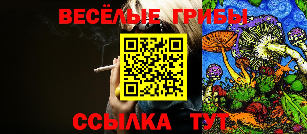 Псилоцибиновые грибы Psilocybe Снежинск